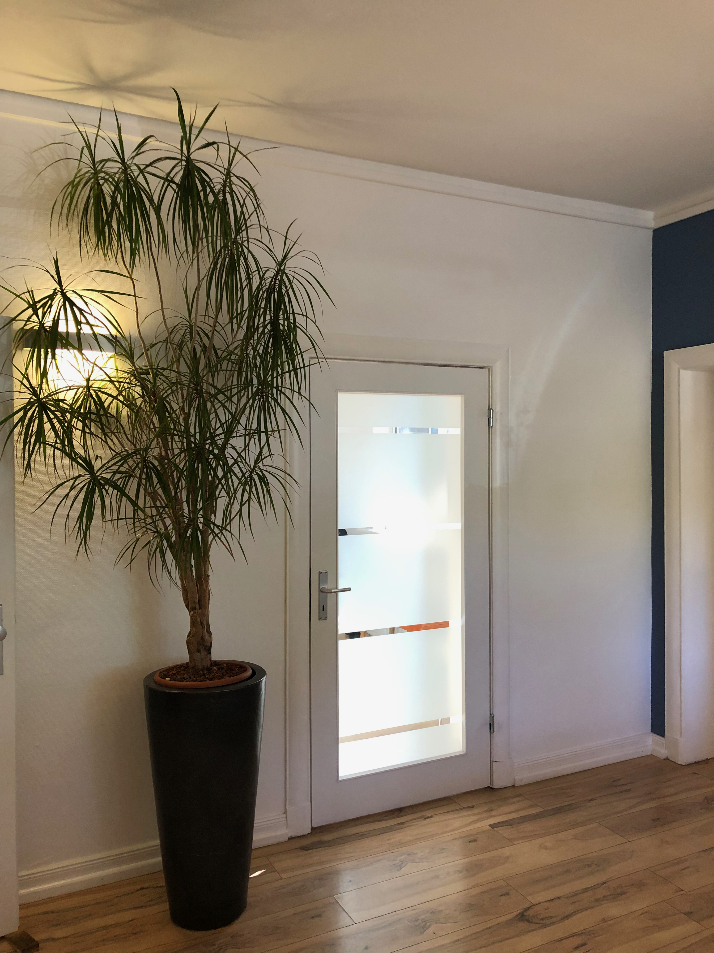 Latte%20and%20croissant